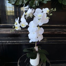 Ботаническая копия "Орхидея"