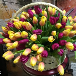 Корзина с тюльпанами "Весеннее цветение"
