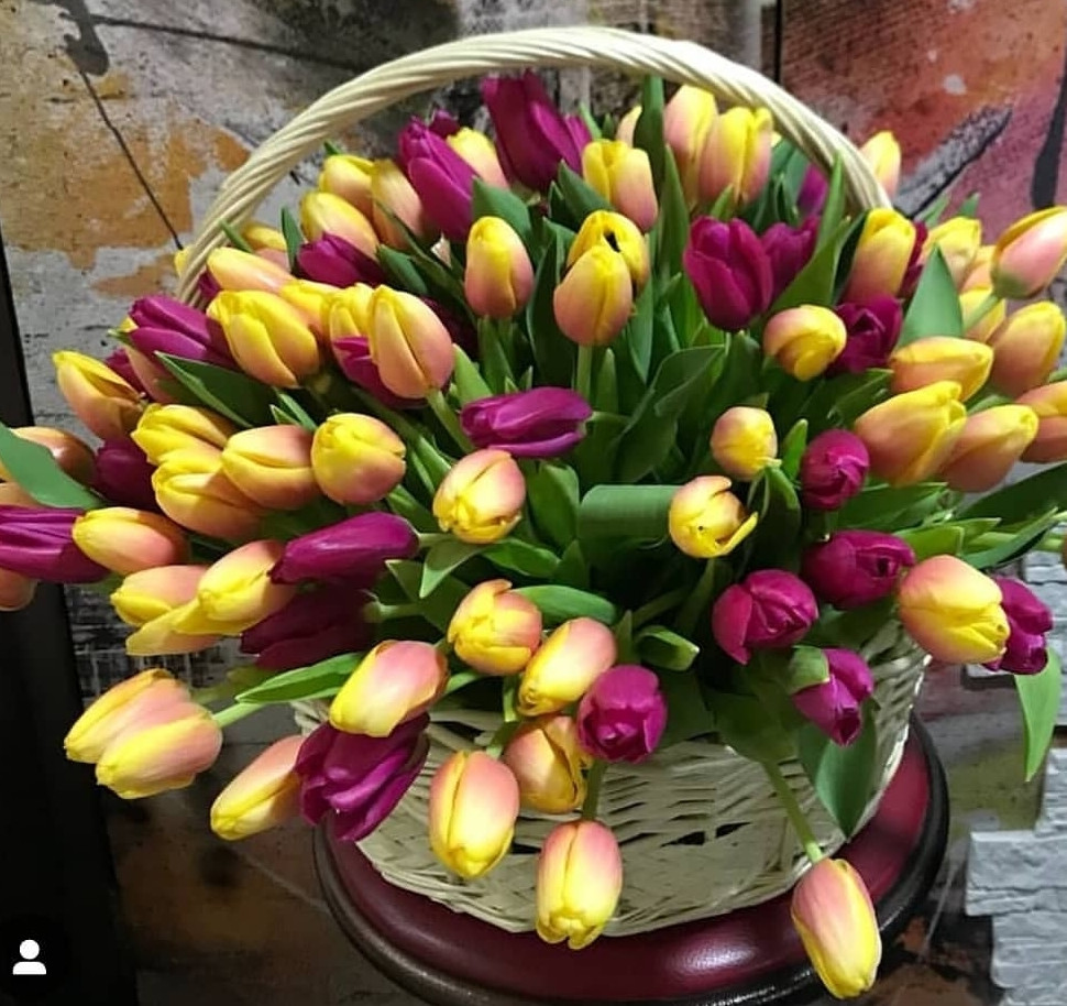 Корзина с тюльпанами "Весеннее цветение"
