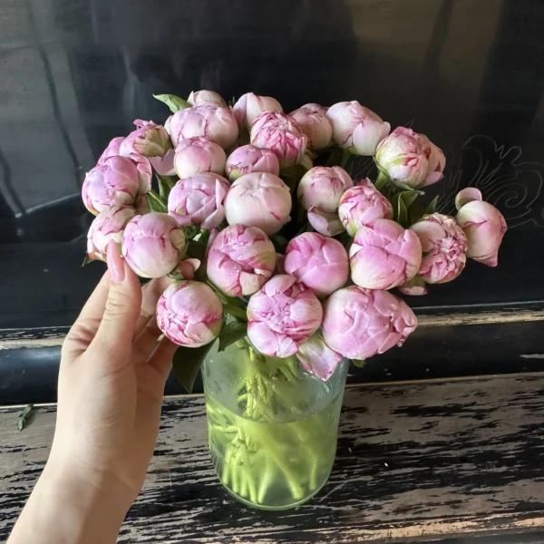 Пионы
