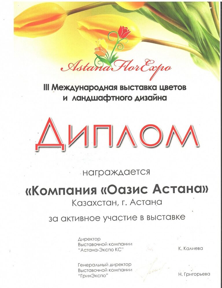 Дипломы